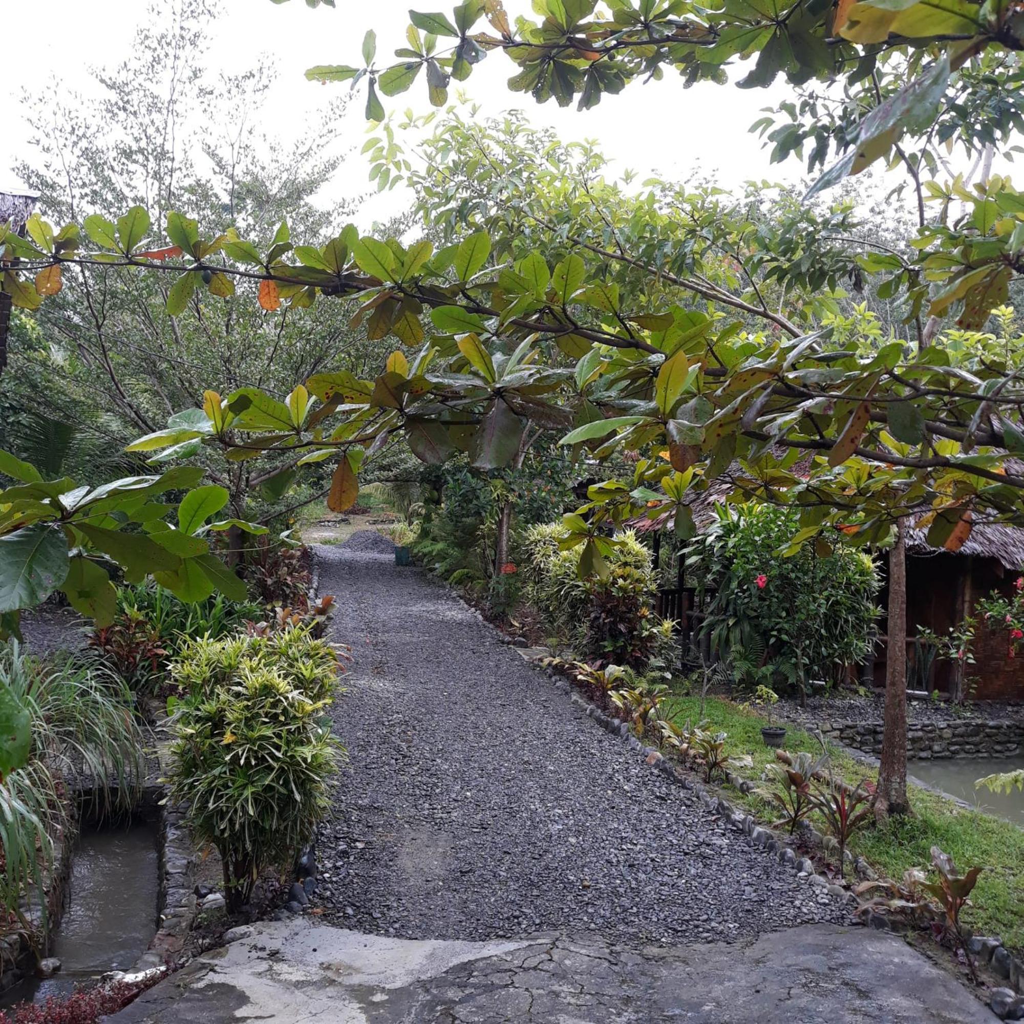 Magpie Homestay & Jungle Trekking Especially For Guest Trekking With Us Букіт-Лаванґ Номер фото