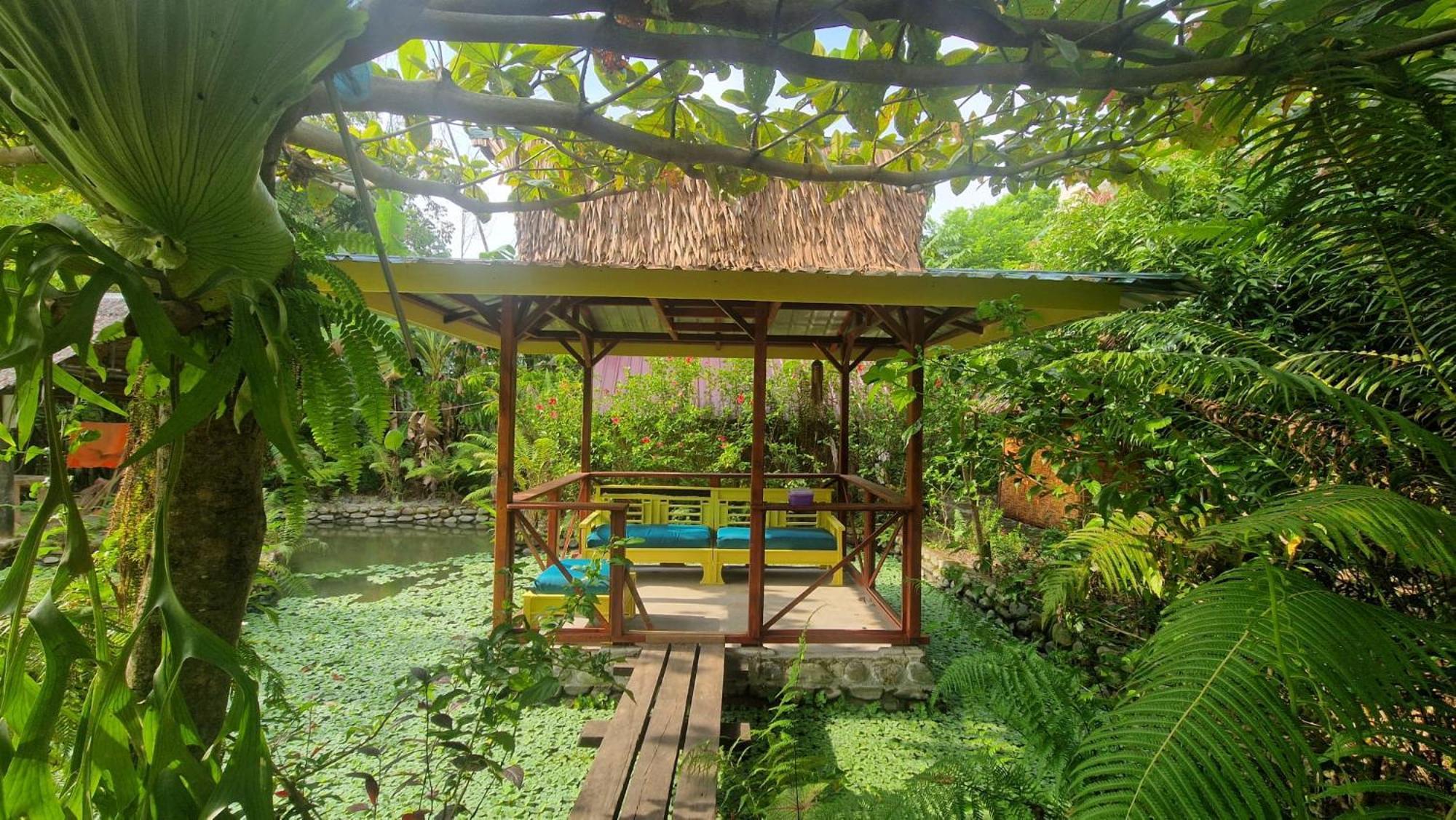 Magpie Homestay & Jungle Trekking Especially For Guest Trekking With Us Букіт-Лаванґ Екстер'єр фото