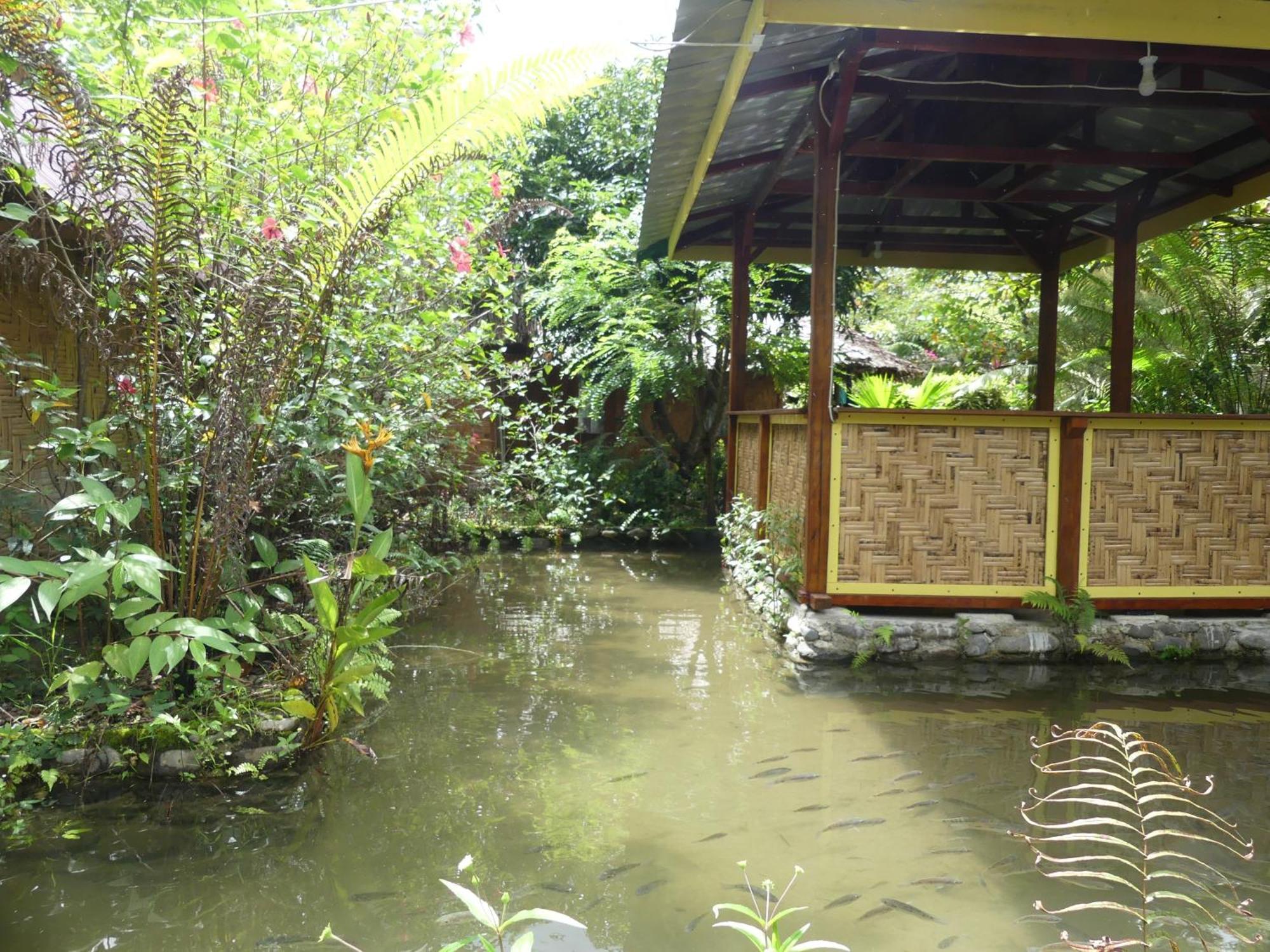 Magpie Homestay & Jungle Trekking Especially For Guest Trekking With Us Букіт-Лаванґ Номер фото